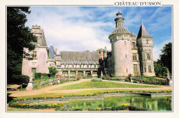 17 PONS LE CHATEAU D USSON - Pons