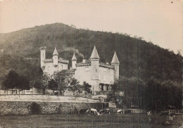 38 CREMIEU CHATEAU DE BIEN ASSIS - Crémieu