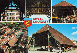 91 MILLY LA FORET LES HALLES - Milly La Foret