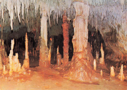 46 GOURDON GROTTES PREHISTORIQUES DE COUGNAC - Gourdon