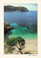 34 PALAVAS LES FLOTS PLAGE - Palavas Les Flots