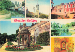 45 CHATILLON COLIGNY - Chatillon Coligny