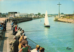 14 COURSEULLES LA JETEE ET L ENTREE DU CHENAL - Courseulles-sur-Mer