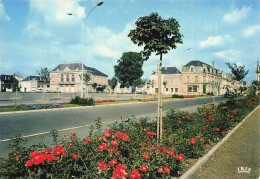 79 THOUARS PLACE LAVAUD - Thouars