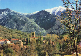66 PRADES L ABBAYE ST MICHEL DE CUXA - Prades