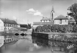 91 MILLY LA FORET L EGLISE - Milly La Foret