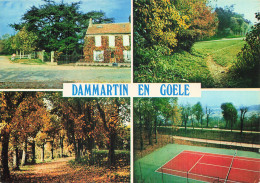 77 DAMMARTIN EN GOELE - Dammarie Les Lys