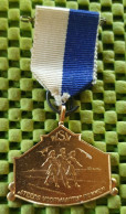 Medaille:  " Steeds Voorwaarts " Rekken - Berkelland +1960  (GLD)  / The Netherlands / Pays-Bas - Other & Unclassified