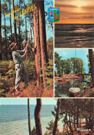 40 BISCARROSSE VISAGE DES LANDES - Biscarrosse