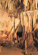 46 GOURDON GROTTES PREHISTORIQUES DE COUGNAC - Gourdon
