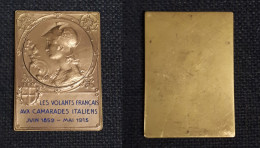 1859-1913 Francia Placca Johnson Medaglia Commemorativa BC - Other & Unclassified
