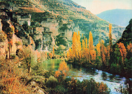 48 MENDE LES GORGES DU TARN CIRQUE DE POUGNADOIRES - Mende