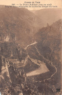 48-GORGES DU TARN-N°3860-E/0203 - Gorges Du Tarn