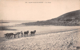 29-SAINT JEAN DU DOIGT-N°T1129-C/0261 - Saint-Jean-du-Doigt