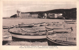 66-BANYULS SUR MER-N°4460-A/0317 - Banyuls Sur Mer