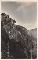68-MUNSTER-N°3861-H/0183 - Munster