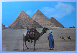 EGYPTE - GIZEH - Les Pyramides - Gizeh
