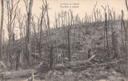 02-BUTTE DE PINON-N°3862-D/0233 - Hirson