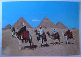 EGYPTE - GIZEH - Les Pyramides - Gizeh