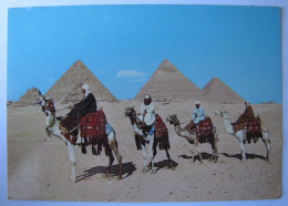 EGYPTE - GIZEH - Les Pyramides - Gizeh