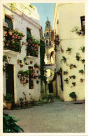 CPA CORDOBA Calle De Las Flores SPAIN (743954) - Córdoba