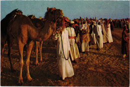 PC SAUDI ARABIA, ALKHOBAR, CAMEL RACE, Modern Postcard (b48099) - Arabia Saudita