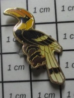 SP04 Pin's Pins / Beau Et Rare / ANIMAUX / OISEAU TROPICAL GENRE TOUCAN CALAO BICORNE - Animaux