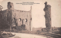86-CHAUVIGNY-N°T1131-H/0091 - Chauvigny