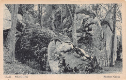 77-NEMOURS-N°3863-D/0353 - Nemours