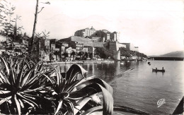20-CALVI-N°3864-B/0303 - Calvi