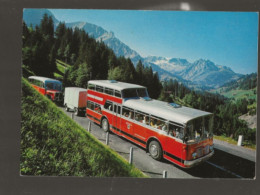 AUTOCAR A  ADELBODEN - Adelboden