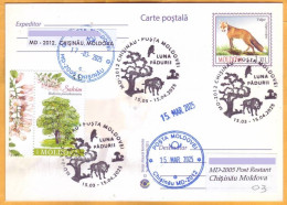 2025  Moldova Special Postmark „Forest Moon”  Fox,  Nature, Mushrooms, Trees,   Used - Moldavie