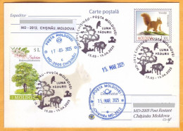 2025  Moldova Special Postmark „Forest Moon”  Squirrel,  Nature, Mushrooms, Trees,   Used - Moldavie