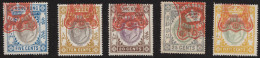 1904-05 HONG KONG, Francobollo Segnatasse 5 Valori MLH/* - Other & Unclassified