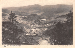 68-MUNSTER-N°3866-F/0217 - Munster