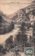 48-GORGES DU TARN-N3866-E/0183 - Gorges Du Tarn