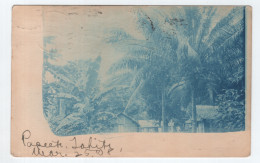 TAHITI CARTE PHOTO PAPEETE POST CARD ADRESSEE SAN FRANCISCO USA ETATS UNIS 1908 - Tahiti