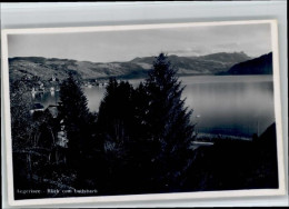 Aegerisee Aegerisee Unteraegeri Unter-Aegeri ZG - Autres & Non Classés