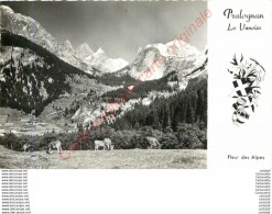 73.  PRALOGNAN La VANOISE .  Massif De La Vanoise .  Pâturages . - Pralognan-la-Vanoise