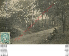 92.  RUEIL .  Allée Des Bouleaux . - Rueil Malmaison