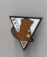 PIN'S THEME ANIMAUX MSIS  CASTOR - Animaux