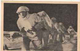 MILITARIA - La Bataille Des Ardennes - 2 CPSM - Andere Kriege
