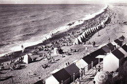 80 - Somme -  ONIVAL Sur MER ( Ault )  Vue Generale De  La Plage - Onival