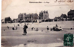 80 - Somme -  CAYEUX Sur MER - La Plage - Cayeux Sur Mer