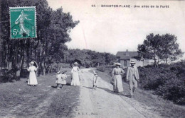 80 - Somme -   BRIGHTON PLAGE (Cayeux Sur Mer )  Une Allée De La Foret - Cayeux Sur Mer