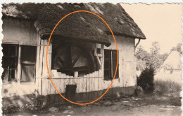 Bokrijk Originele Foto 1957  Oude  Boter Molen - Genk