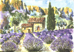 CPM La Provence Pittoresque Dans Les Lavandes En Fleurs - Altri & Non Classificati