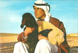 PAL - A Shepperd Boy With One Of His Flock - Berger Tenant Un De Ses Moutons - Ed. Holy View  Jerusalem N° 84 - Palestine