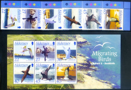 Alderney. Fauna. Uccelli Migratori 2003. - Guernesey