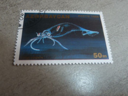 Azerbaïdjan - Faune Aquatique (Loligo Vulgaris) - 50m - Multicolore - Oblitéré - Année 1995 - - Azerbaïdjan